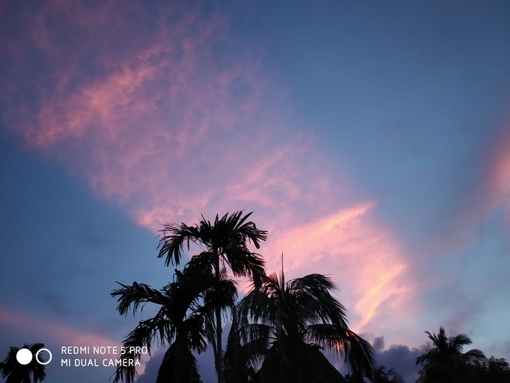 lovly evening