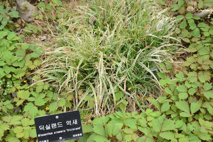 풍경이미지
