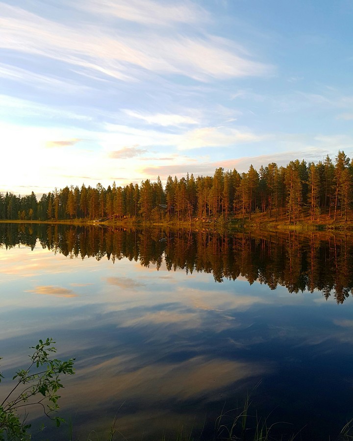 pic taken in northern Sweden