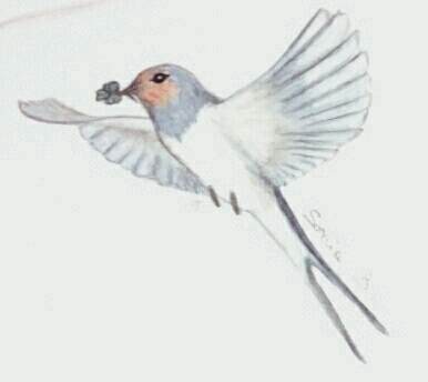 hirondelle