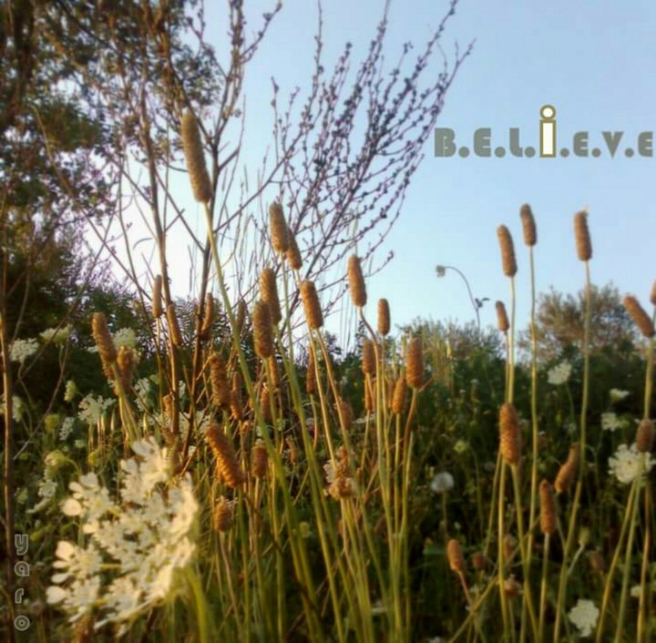 Believe
