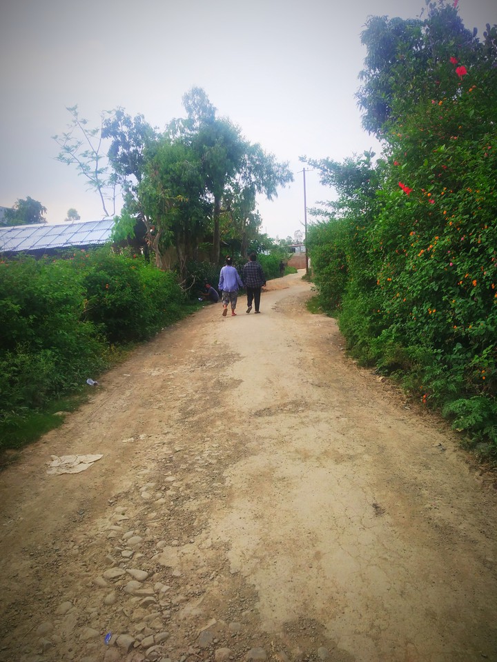 walk❤️❤️❤️