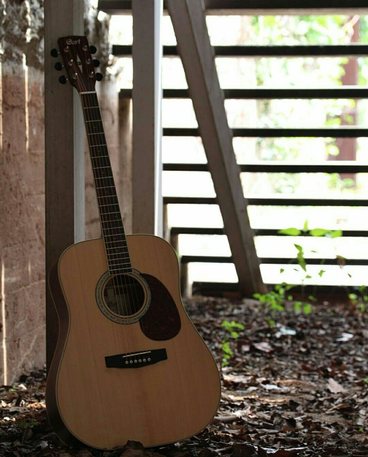 guitar