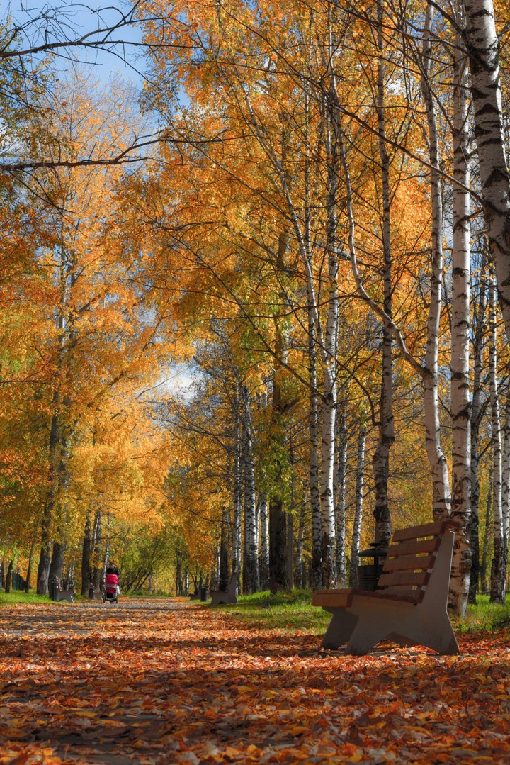 autumn