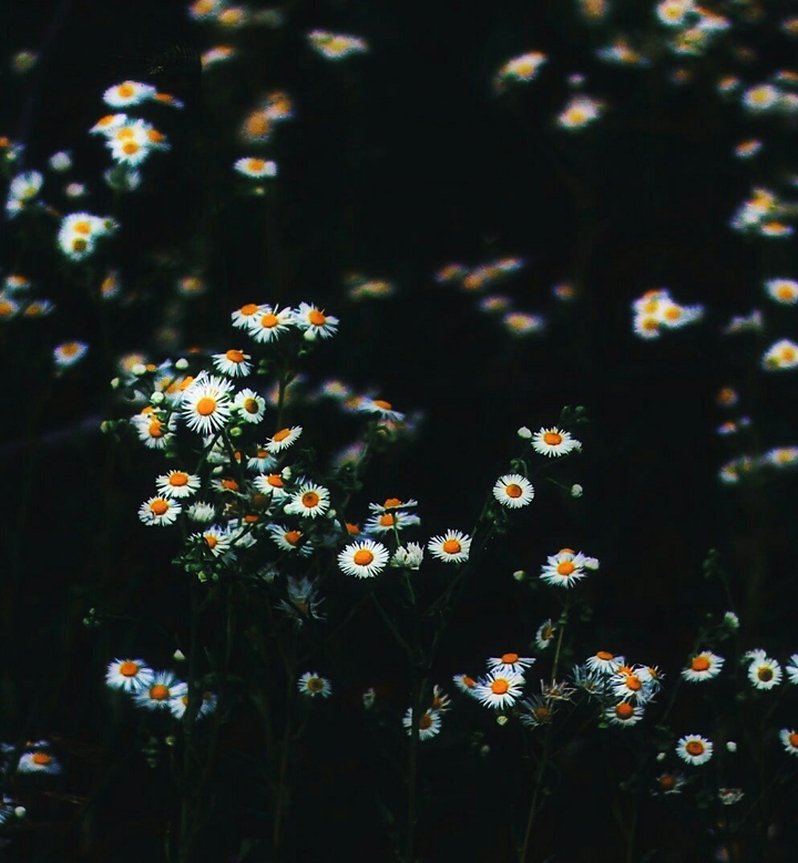 ~