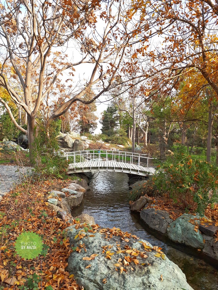 Once upon a Bridge
