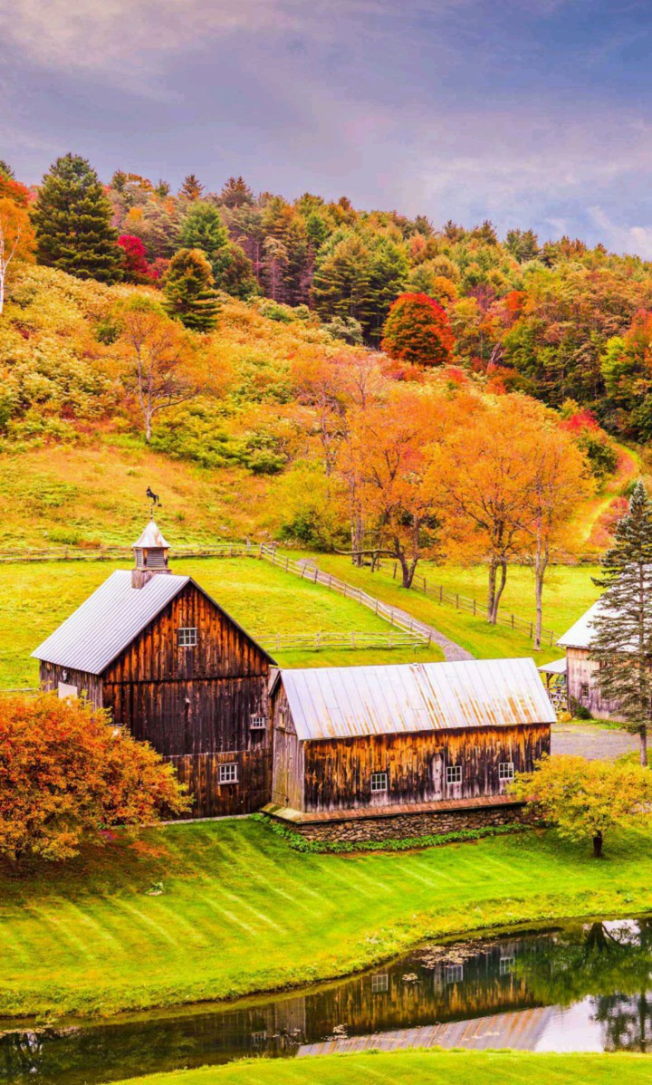 Autumn Village