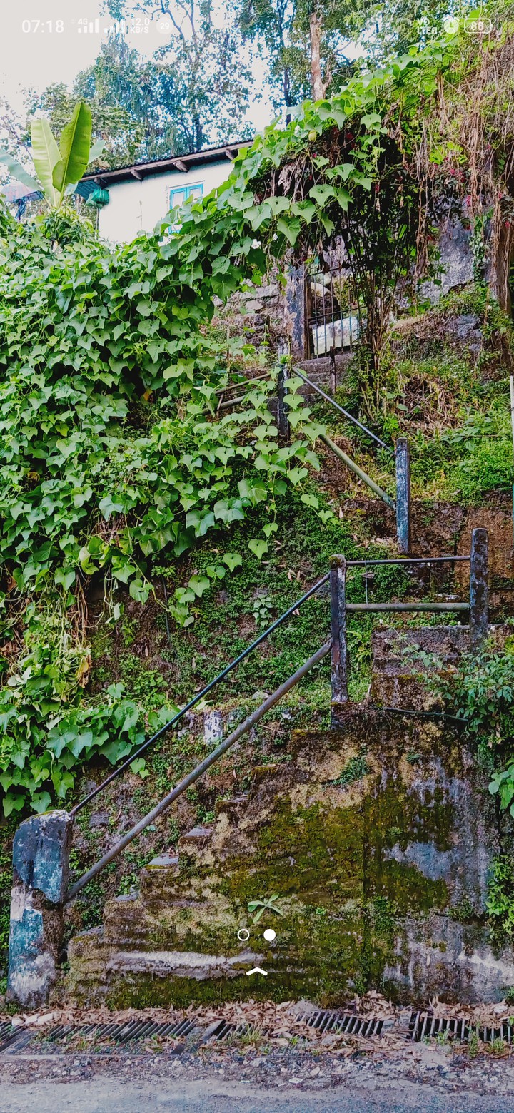wall