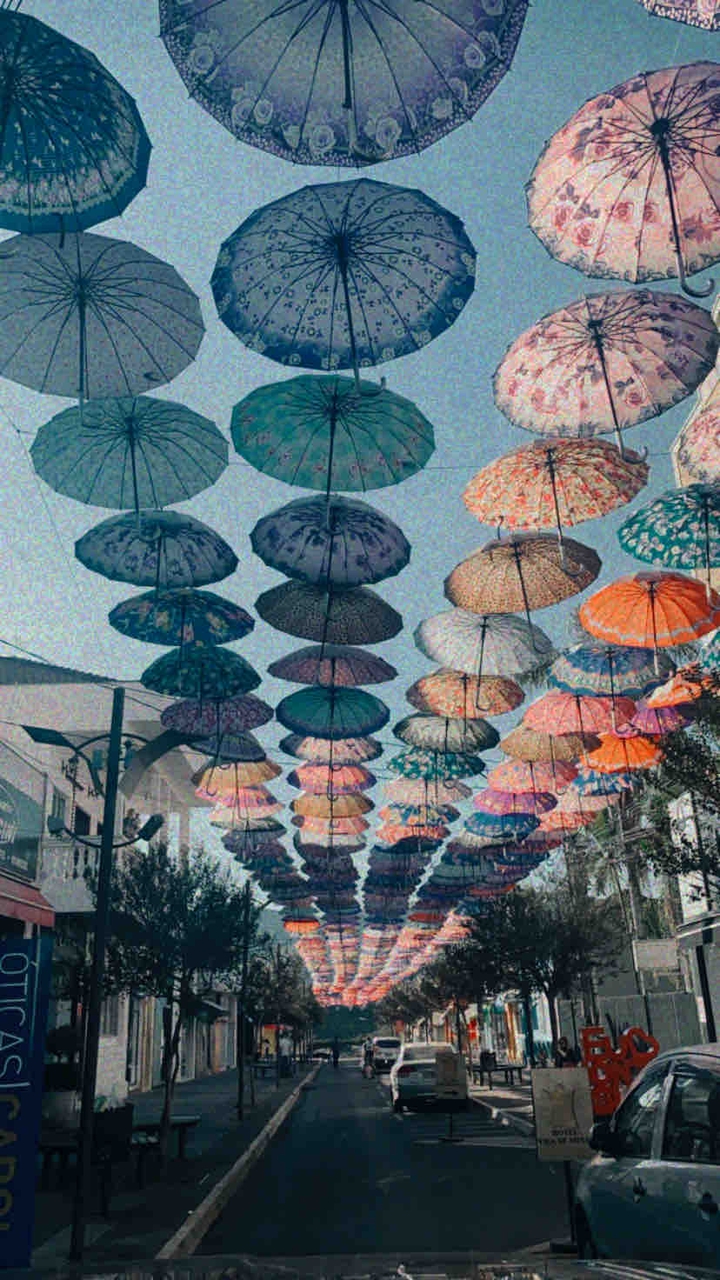 Guardas-chuva