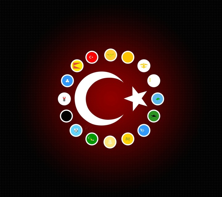 türk devletleri