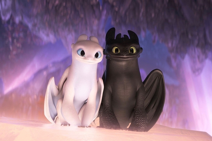 dragons