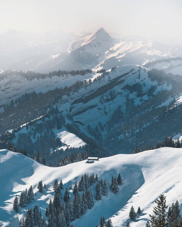 Mountain