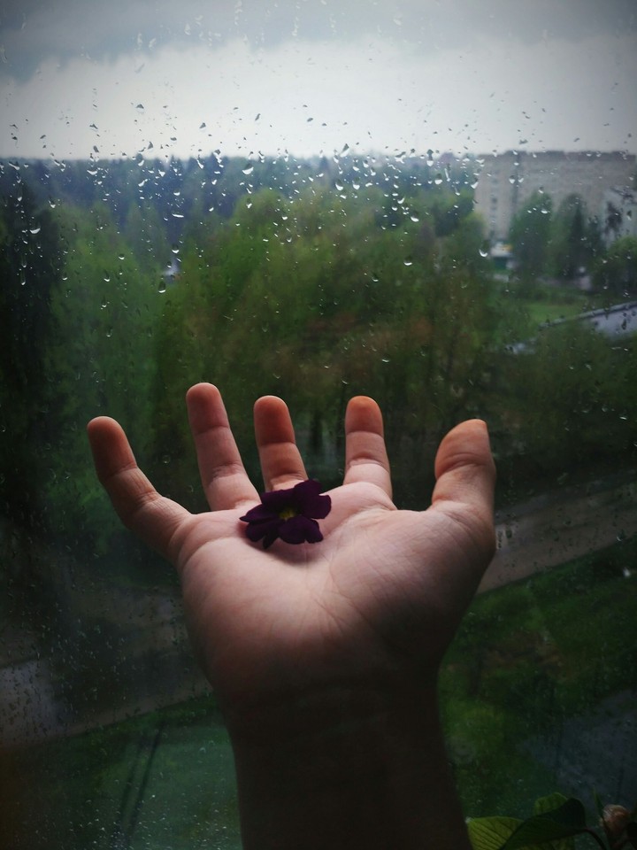 цветок