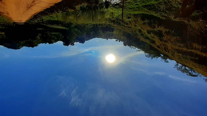Linda tarde