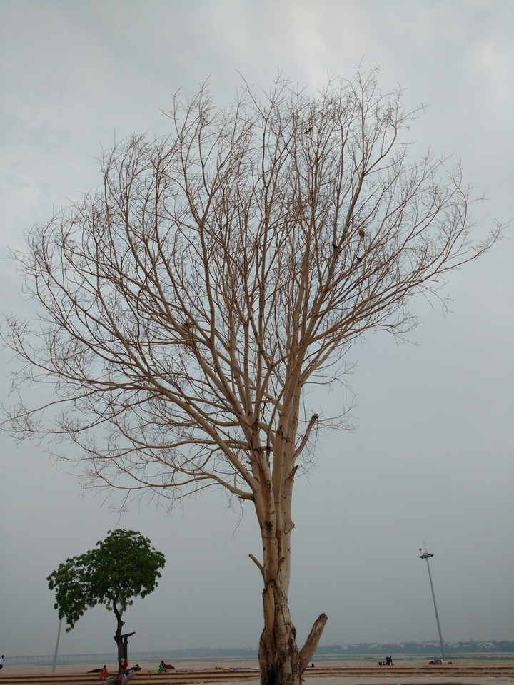 Vijayawada