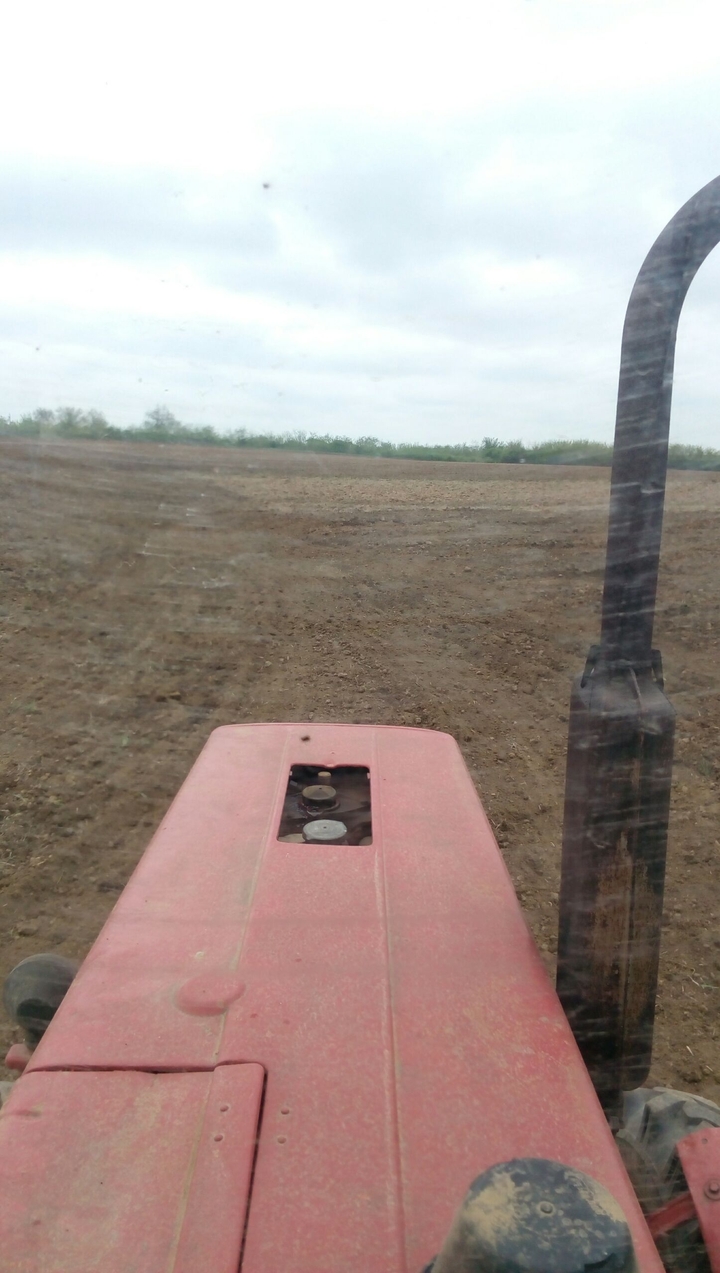 Tractor-Mtz-82