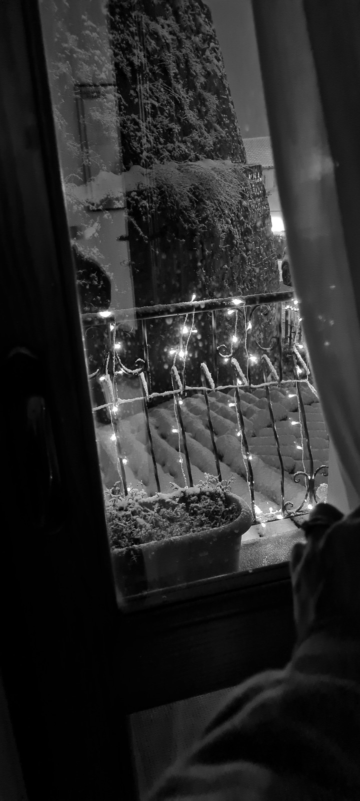 Light for xmas