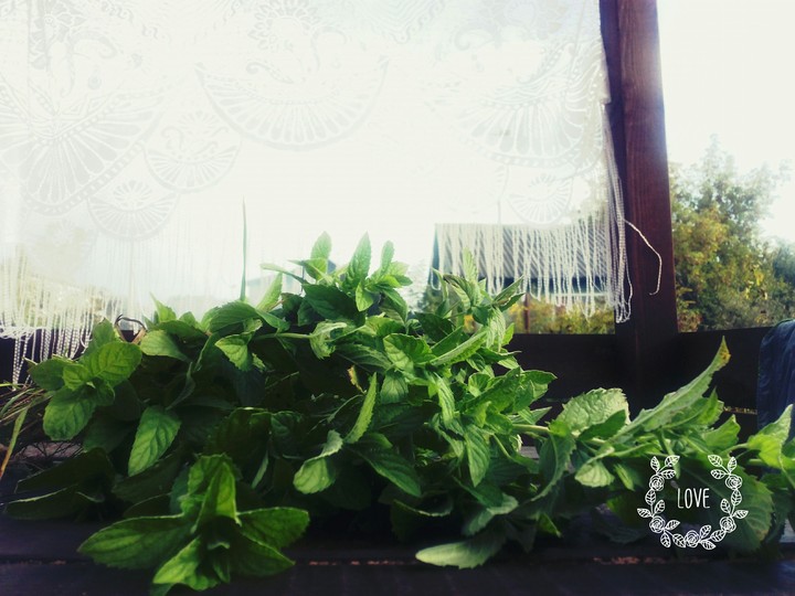 mint 