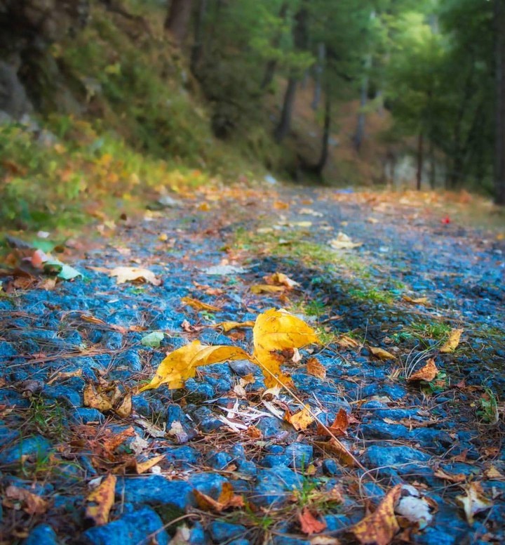 Autumn