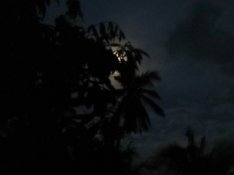 Moon