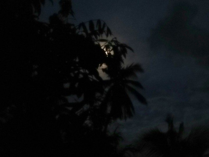 Moon