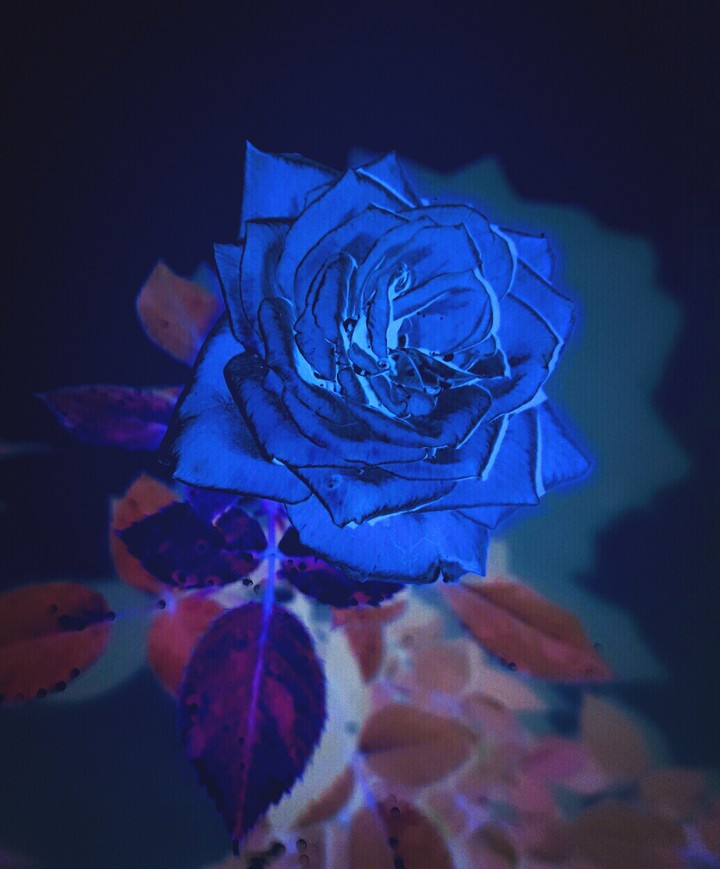 blue