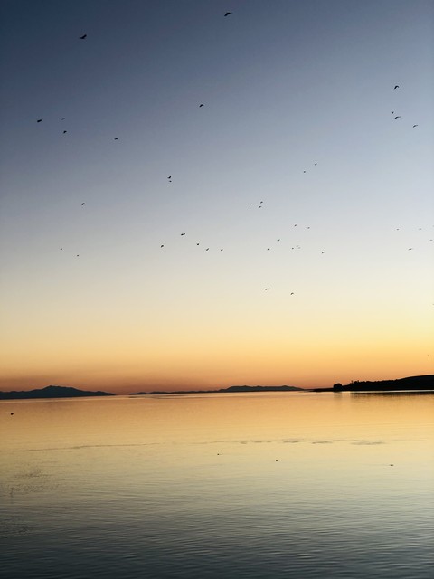 sfondi cloud, bird