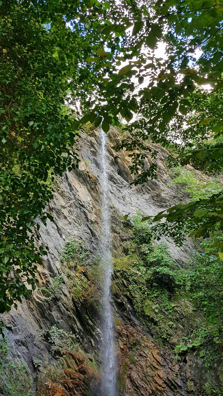 nature