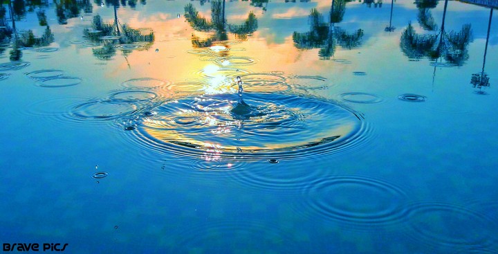 water ....