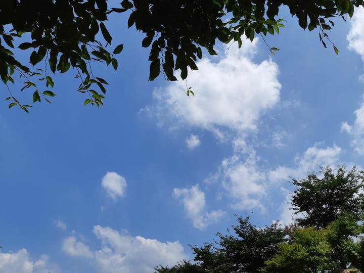 하늘