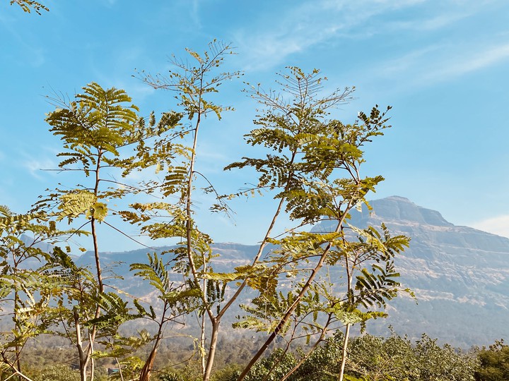 Pallu Village, Murbad, Maharashtra