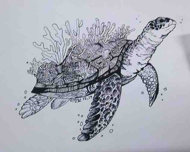 turtle