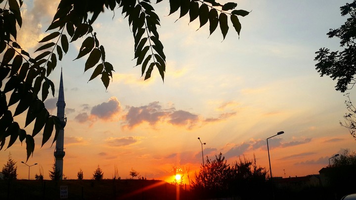 sunshine
