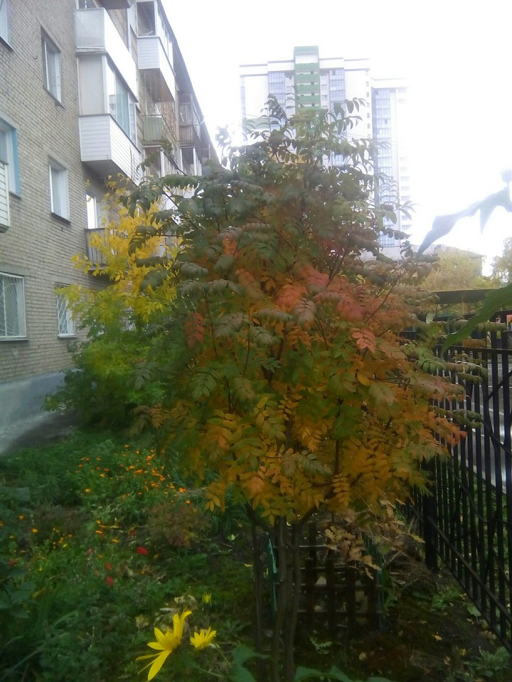 Осень.
