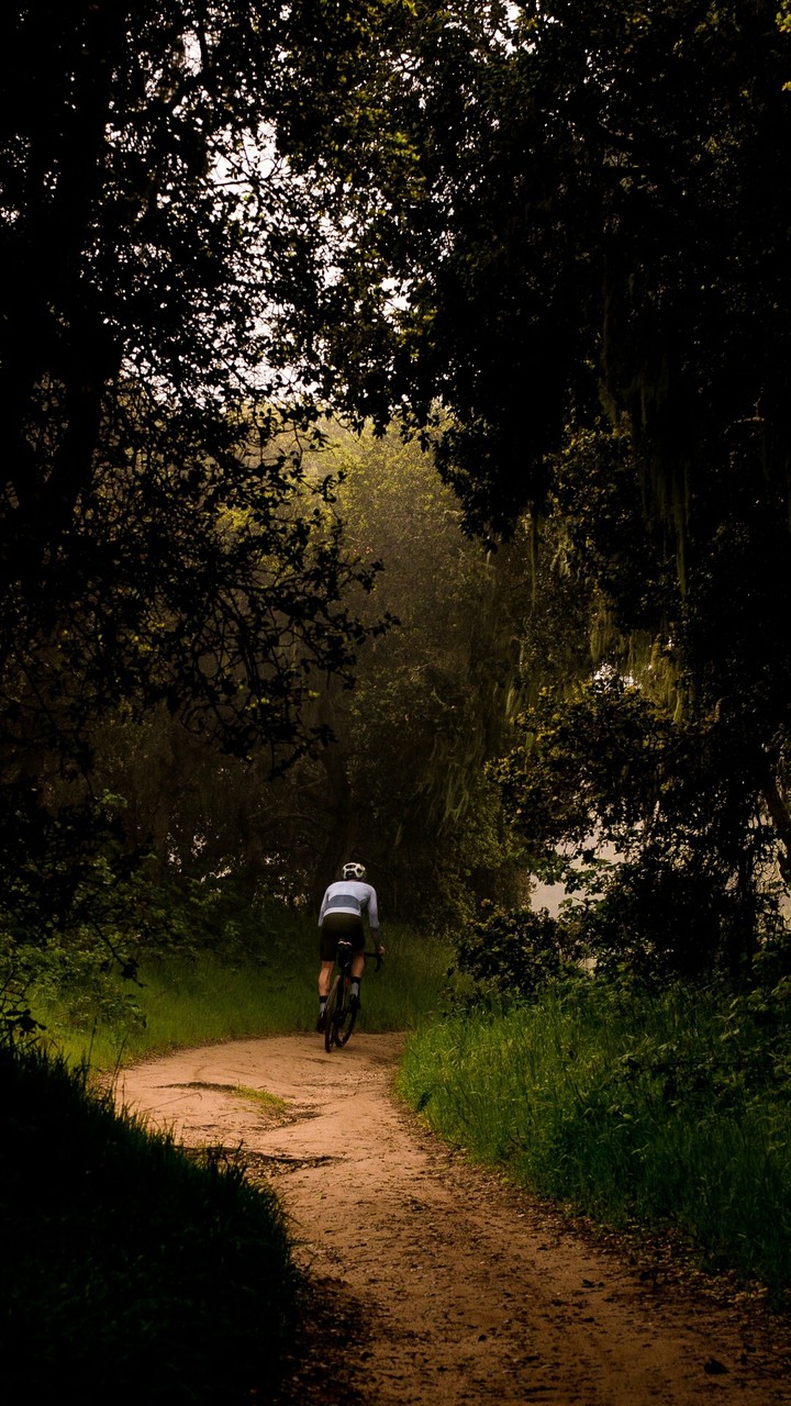 cycling between nature