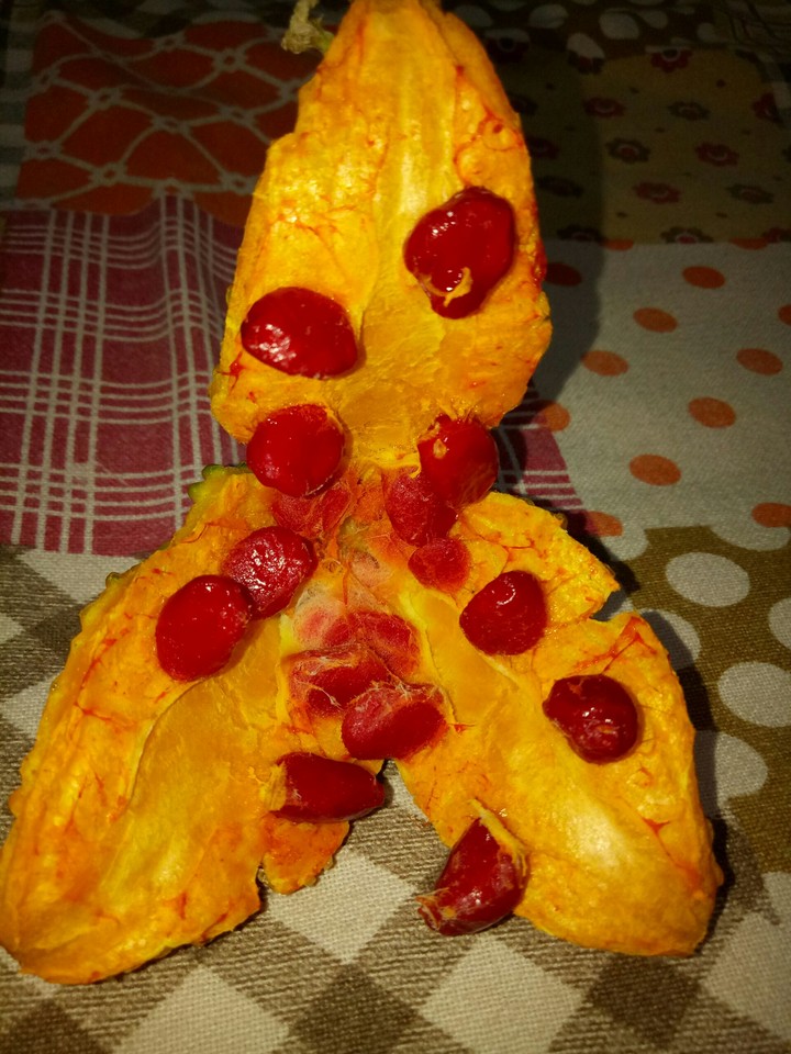 karela