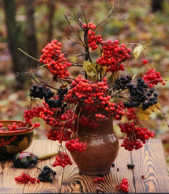 Berry