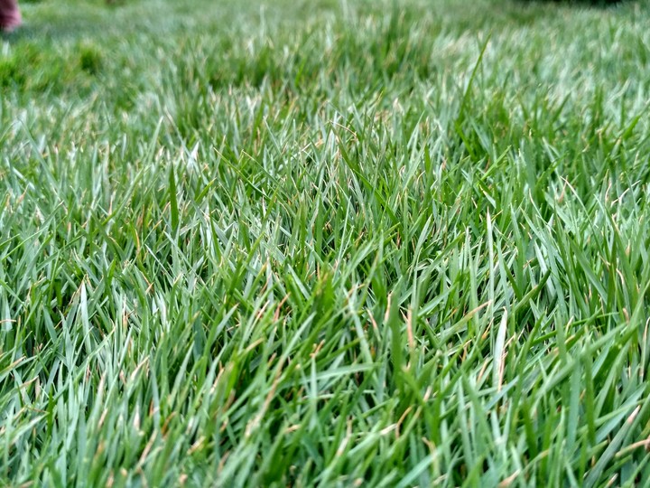 micRo
