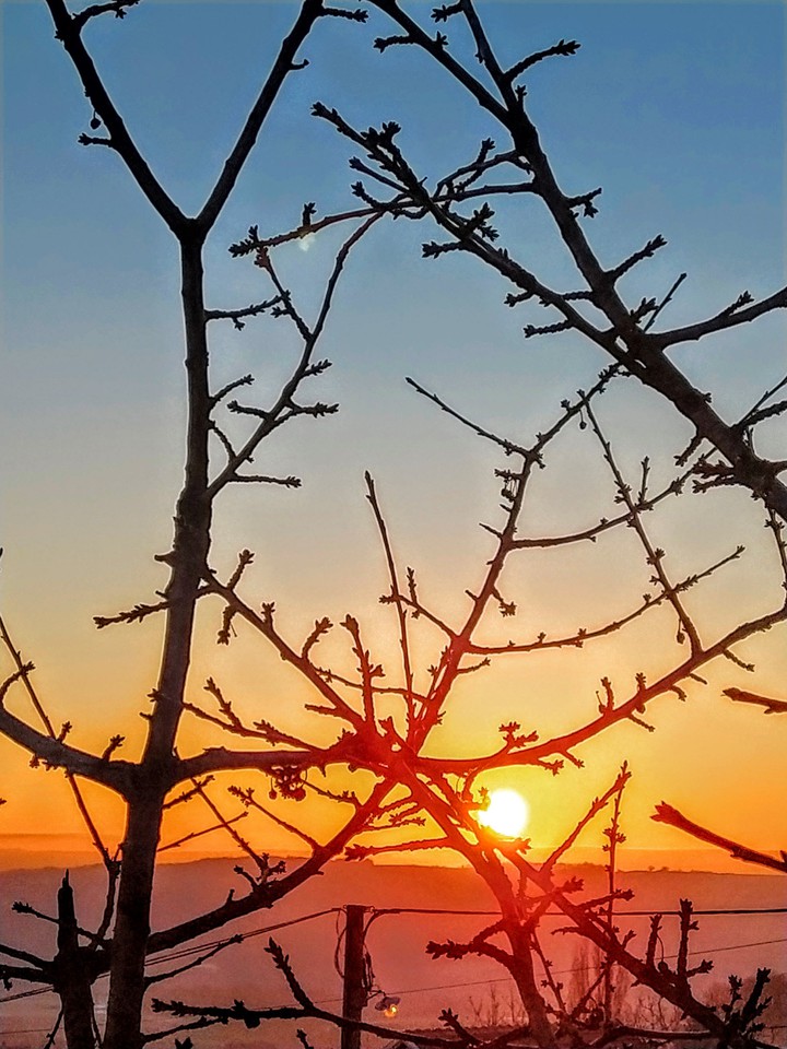 Badnje jutro 06.01.2020.