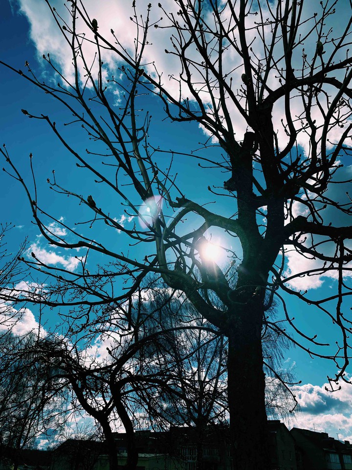 Blue sky