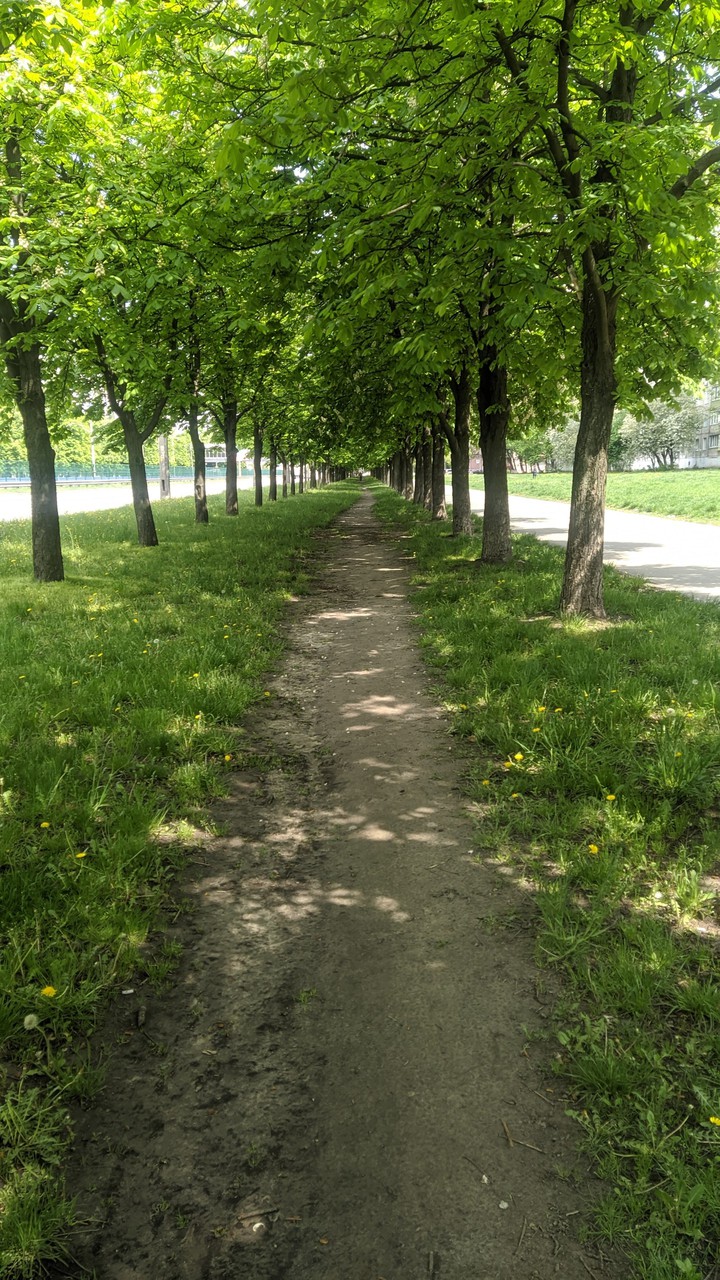 Green Road