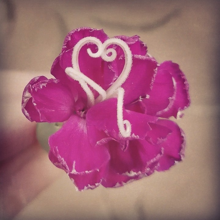 when the nature fall in love