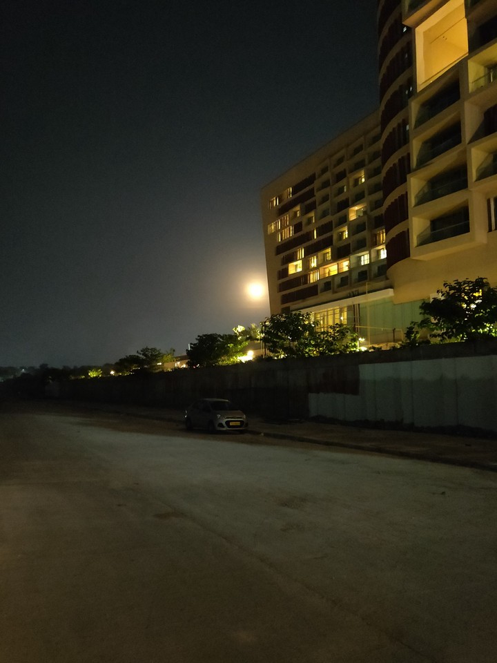 moonlight