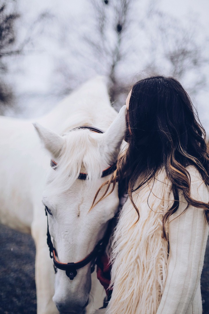 horse & girl