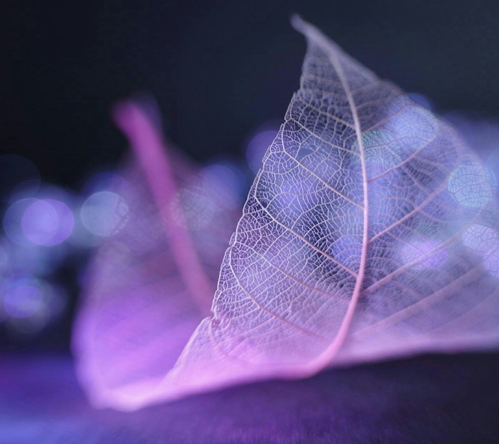 abstract