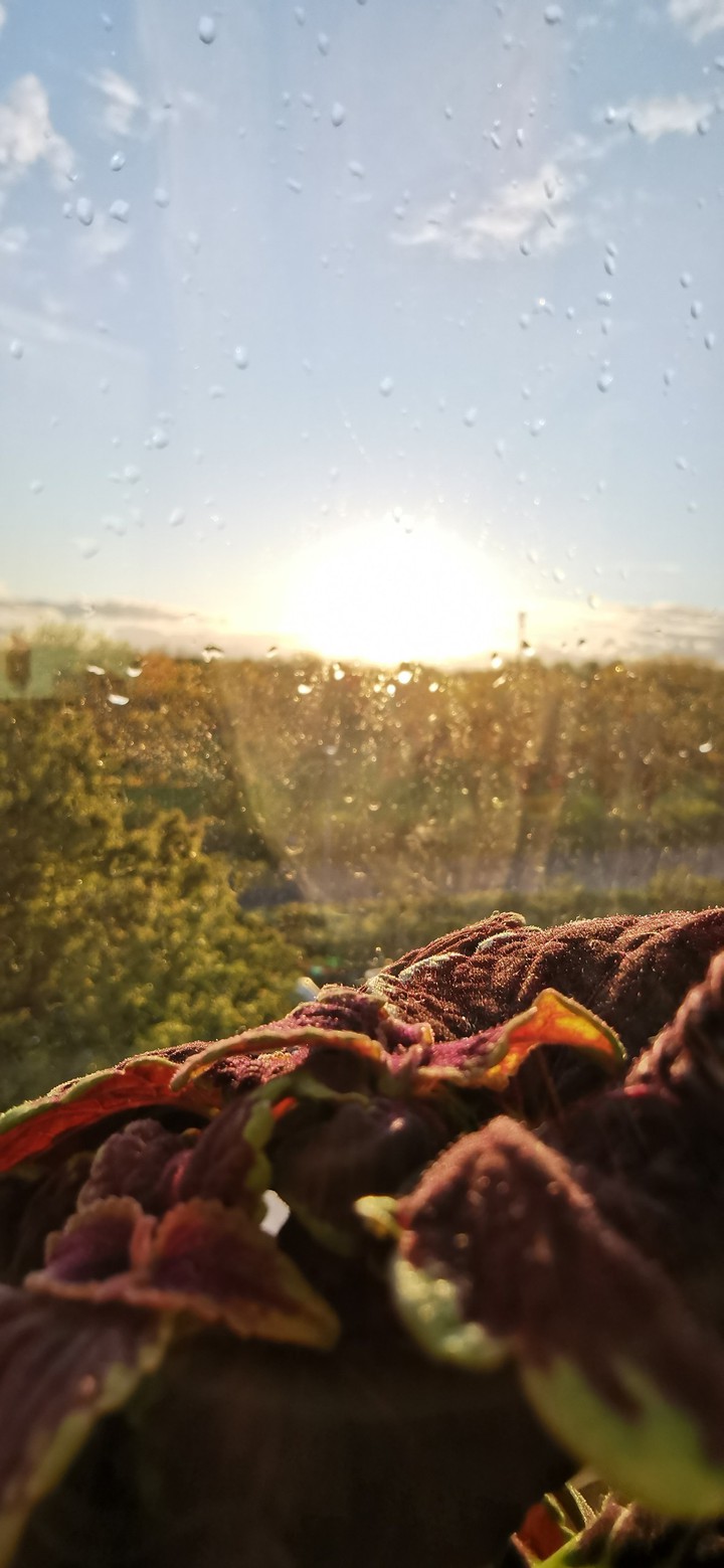 Morning