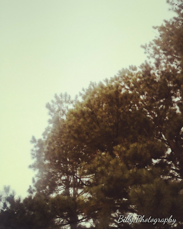 billy photography