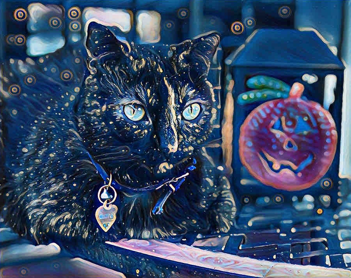 Magic Cat