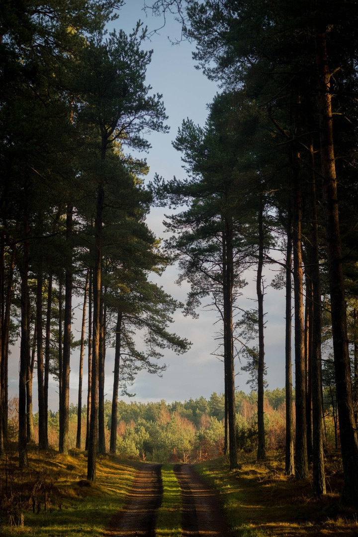 nature