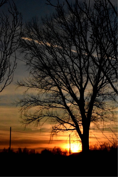 sunset